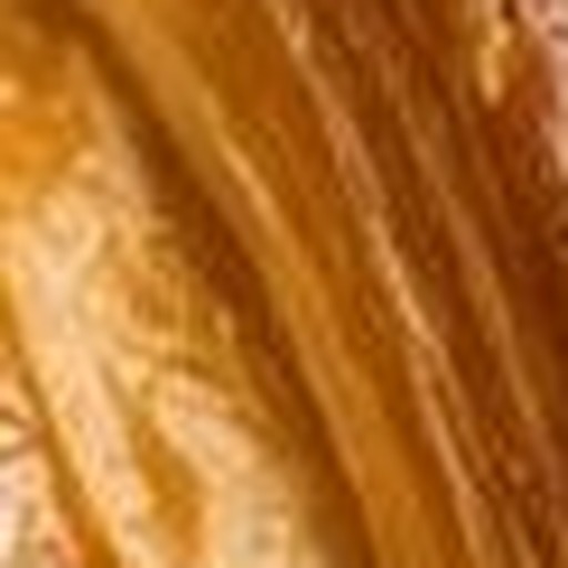 Close-up detail for this question