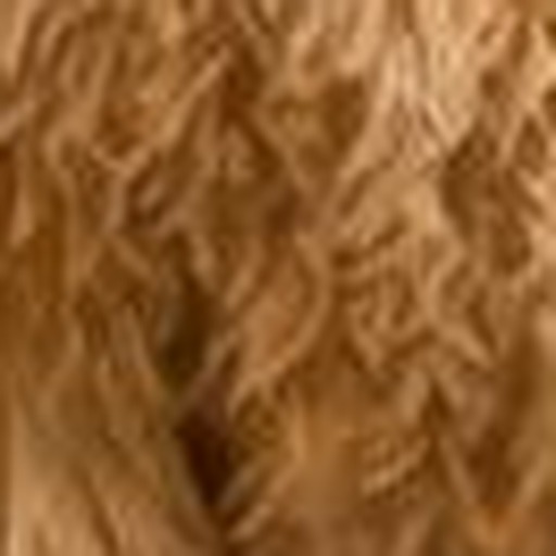 Close-up detail for this question