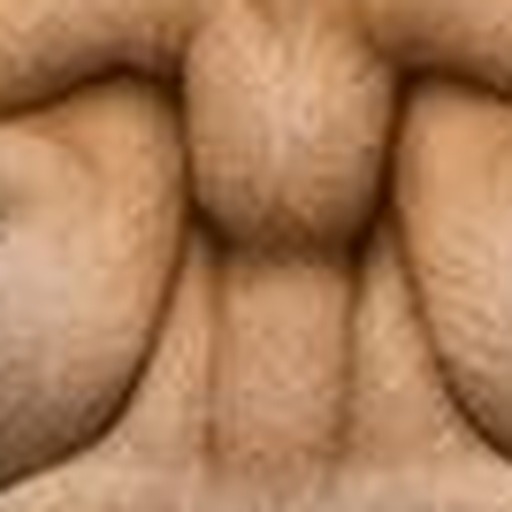 Close-up detail for this question