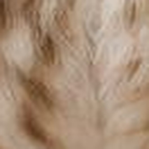 Close-up detail for this question