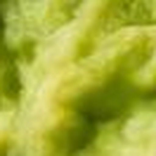 Close-up detail for this question