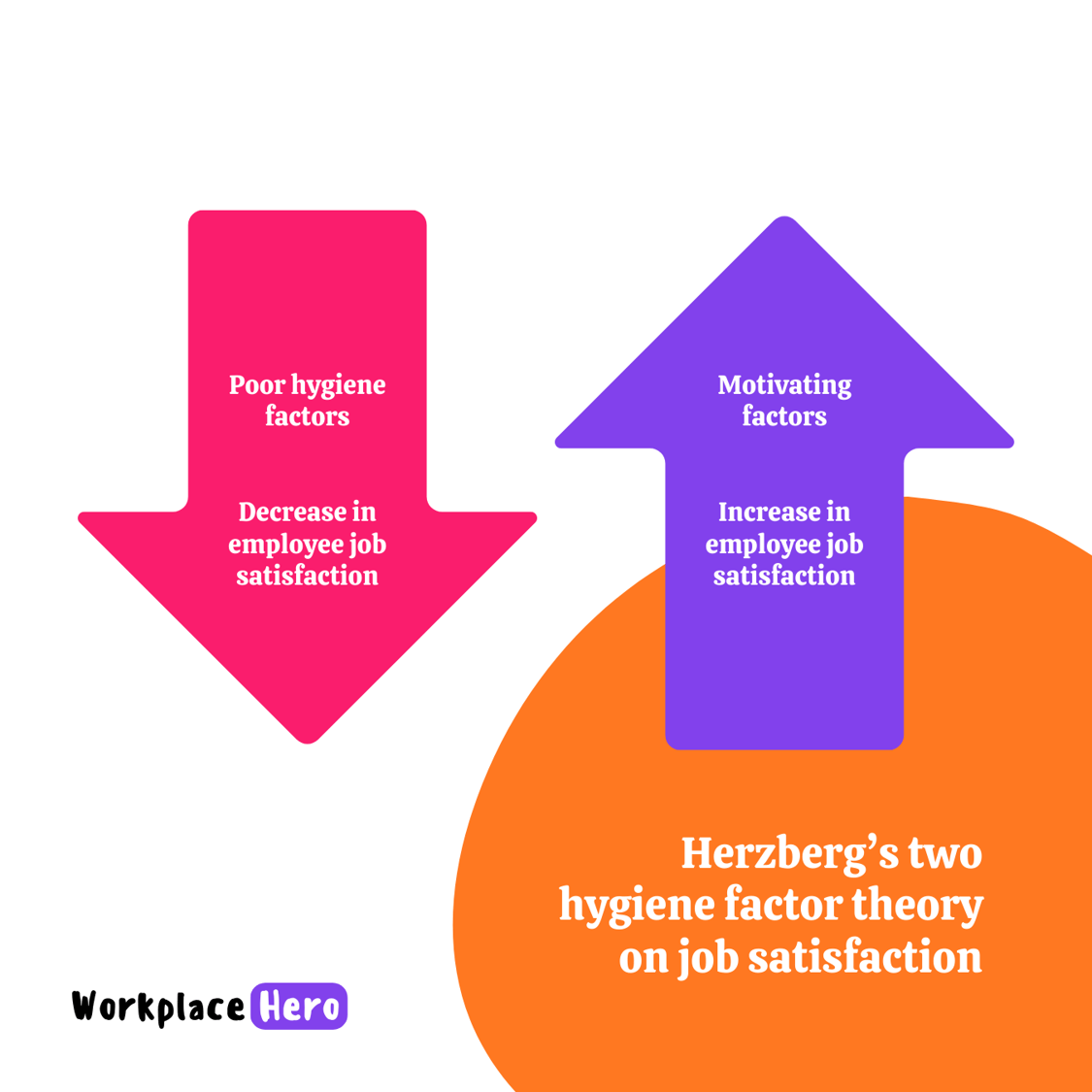 Herzberg's Hygiene-Motivation Theory: Understanding The Workplace