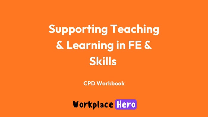 Supporting Teaching and Learning in FE and Skills image