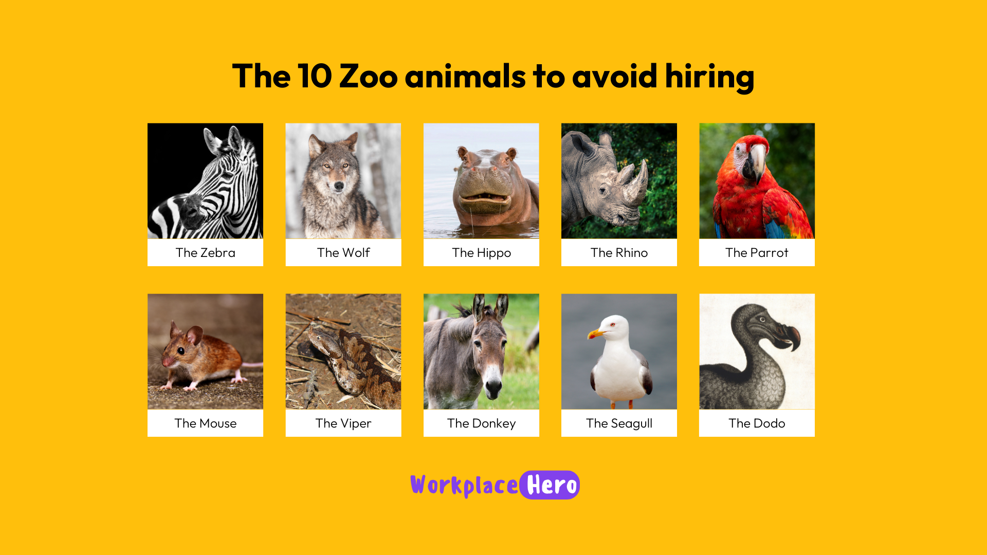 toxic-personalities-zoo-animals-avoid-hiring